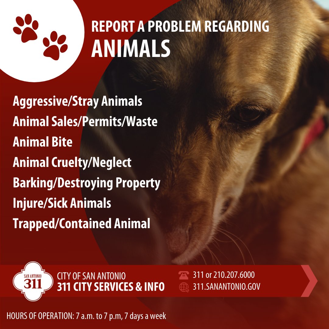 311 is here to assist with any questions or concerns you may have regarding animals. From pet care tips to low-cost pet veterinarian services, they are here to help.
For more information, visit: 311.sanantonio.gov/kb/animals
#CustomerServiceWeek
