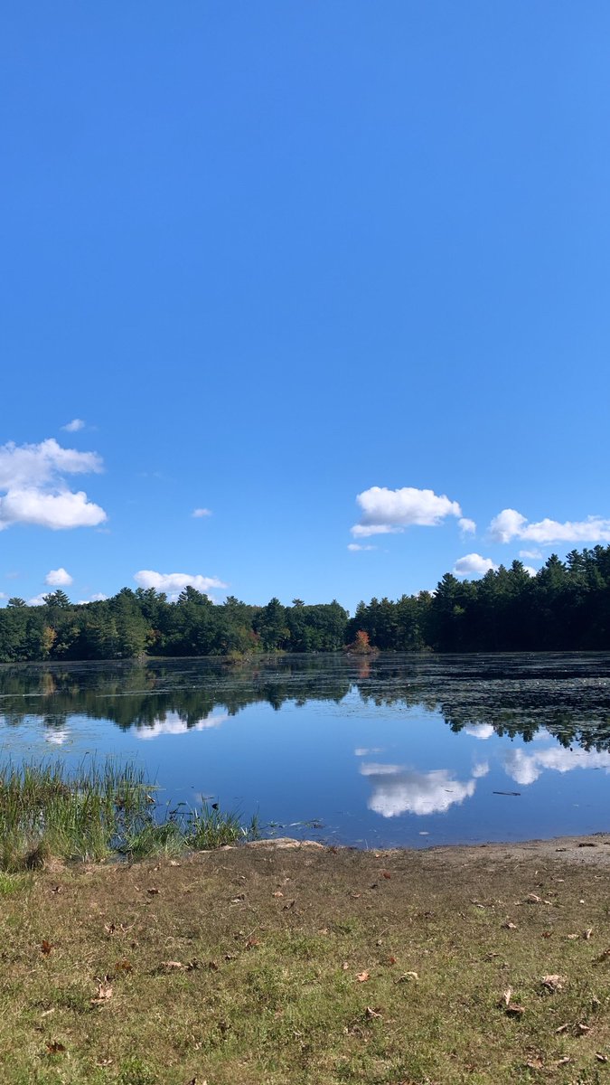 We’re spending the day with <a href="/phoenixcharter/">Phoenix Charter</a>! Students and staff are at Harold Parker State Forest this afternoon! Check out the views. #EdThatAddsUp  🏞