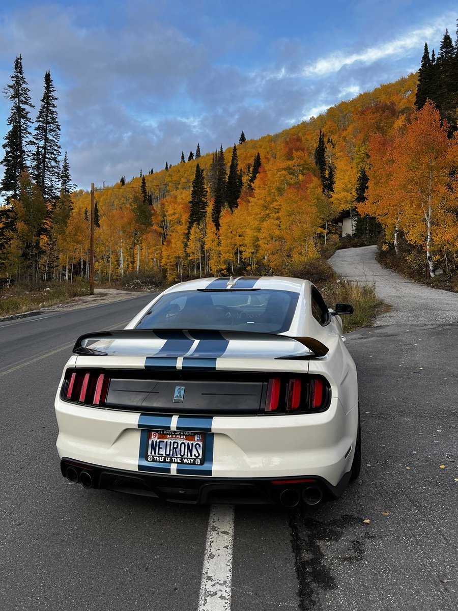 Jason Shepherd tweet media