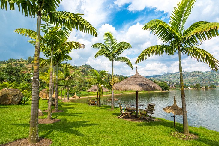 Green_SafarisRw's tweet photo. Allowing low-impact tourism and conserving natural beauty is a key to sustainable tourism. @RDBrwanda @AKageruka #REMA #Environment #Conservation #SustainableTourism #GoGreen #NaturalBeauty #SaveEnvironmental #CarbonCredit #GreenPeace #ClimateEmergence #Offsetting #ecofriendly https://t.co/aHel41oH4A