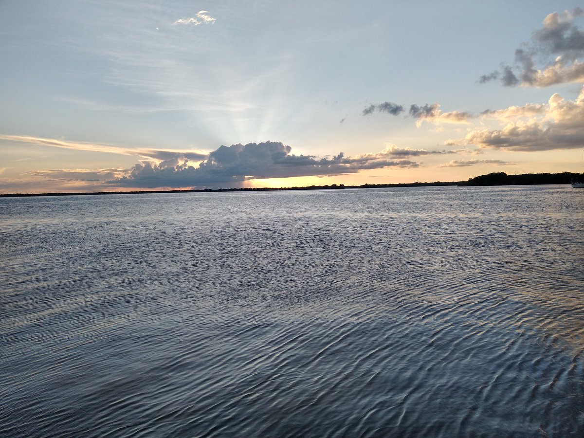 <a href="/LauFdzOficial/">Laura Fernández 💫</a> #QuintanaRoo47 #DesarrolloSustentable ..."Selva, mar, historia y juventud...<a href="/saori_rosel/">Saori Rosel</a> <a href="/SugeyCouoh/">Sugey Vargas Couoh</a> <a href="/Namiibe/">Namibe Esquivel</a> <a href="/vas_castillo/">vas castillo</a> <a href="/Fridasofia_27/">Frida Sofía</a> <a href="/DanielaSaucill3/">Daniela Saucillo</a> <a href="/esthalie/">Esthalie</a> <a href="/AnestosoCristel/">Cristel Anestoso Fernandez</a> <a href="/Mitzvela/">𝑴𝒊𝒕𝒛</a> <a href="/mapachestec/">@MAPACHESTec</a> <a href="/Jfla2021/">Jennifer Lopez</a> <a href="/anmacalo/">angel castillo</a> <a href="/MarianaVazquezE/">🌊✨</a>