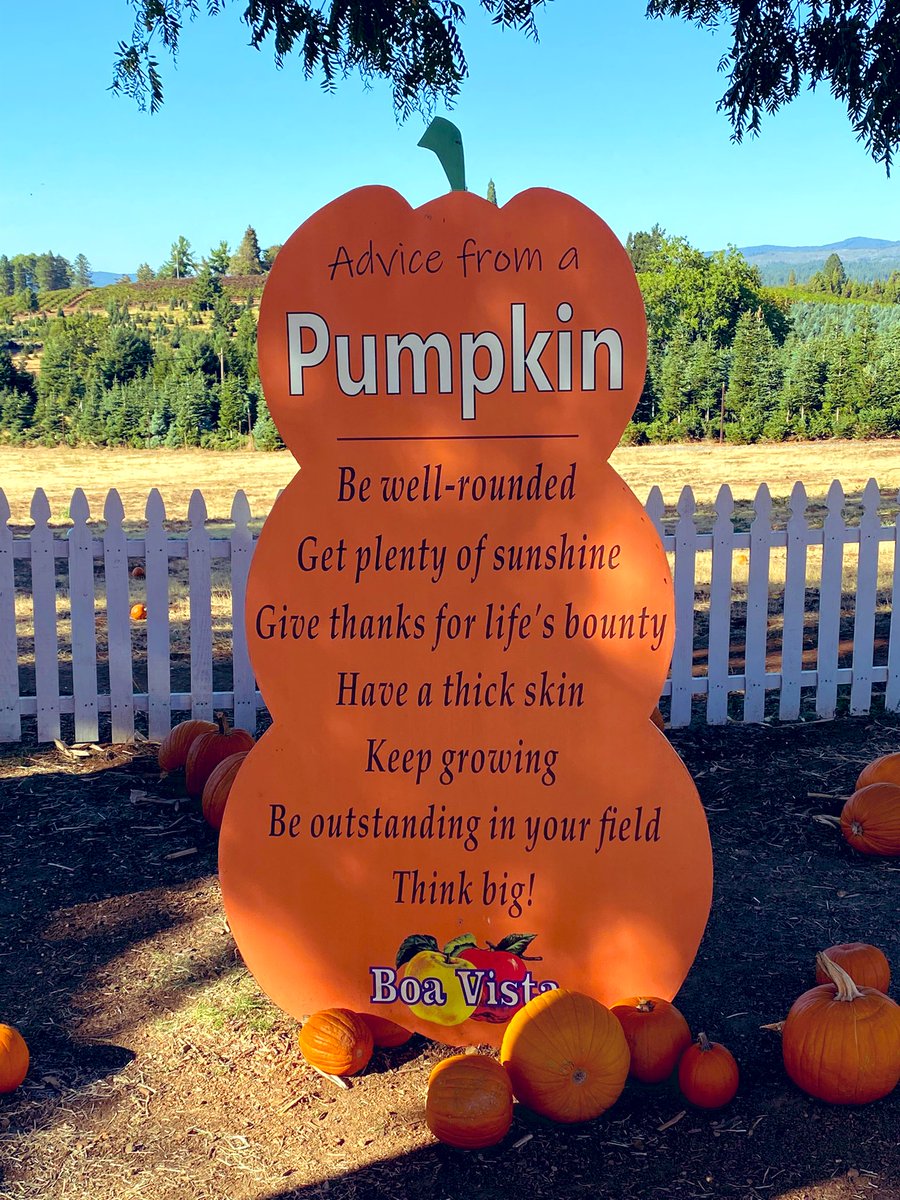 SocialSMktg's tweet photo. Went to a pumpkin patch with friends in Apple Hill at El Dorado County a few days ago.
And I came across this! Ainโt it true?
#pumpkinpatch #MyCreativeSpace
#thursdayvibes https://t.co/WZtfAczCSP