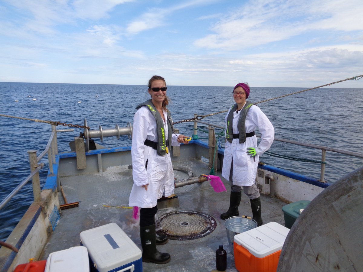 reseauCCTT's tweet photo. Une belle entrevue télé qui démontre comment l'équipe de #Merinov contribue à la protection des écosystèmes! Ils collaborent également avec @ITMI_Quebec pour récupérer les engins de pêche perdus en mer. #CCTT #pechedurable #environnement https://t.co/0TGAv2XMBx