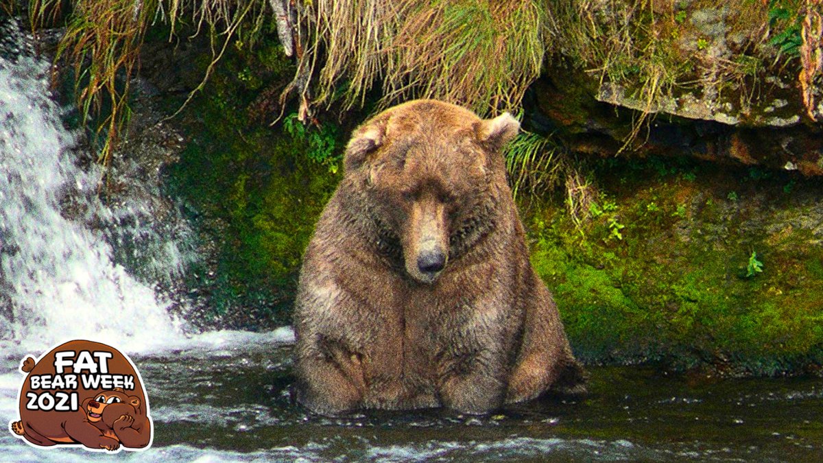 radpace's tweet image. Just reminds me how much I need a LONG hibernation!