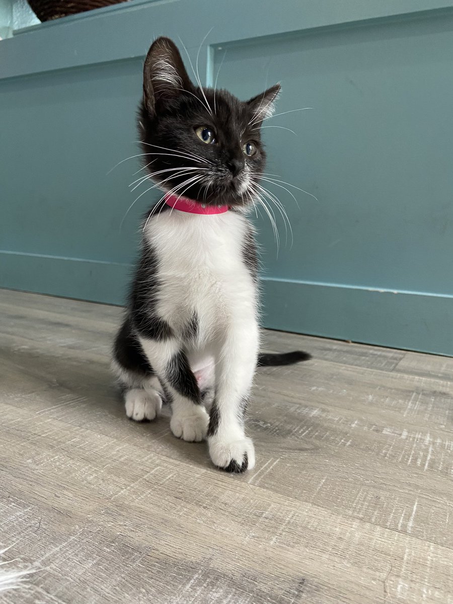 l*ney🌙 tweet media