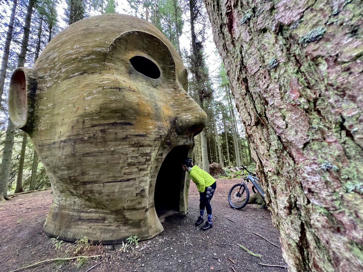 Carlton Reid tweet media