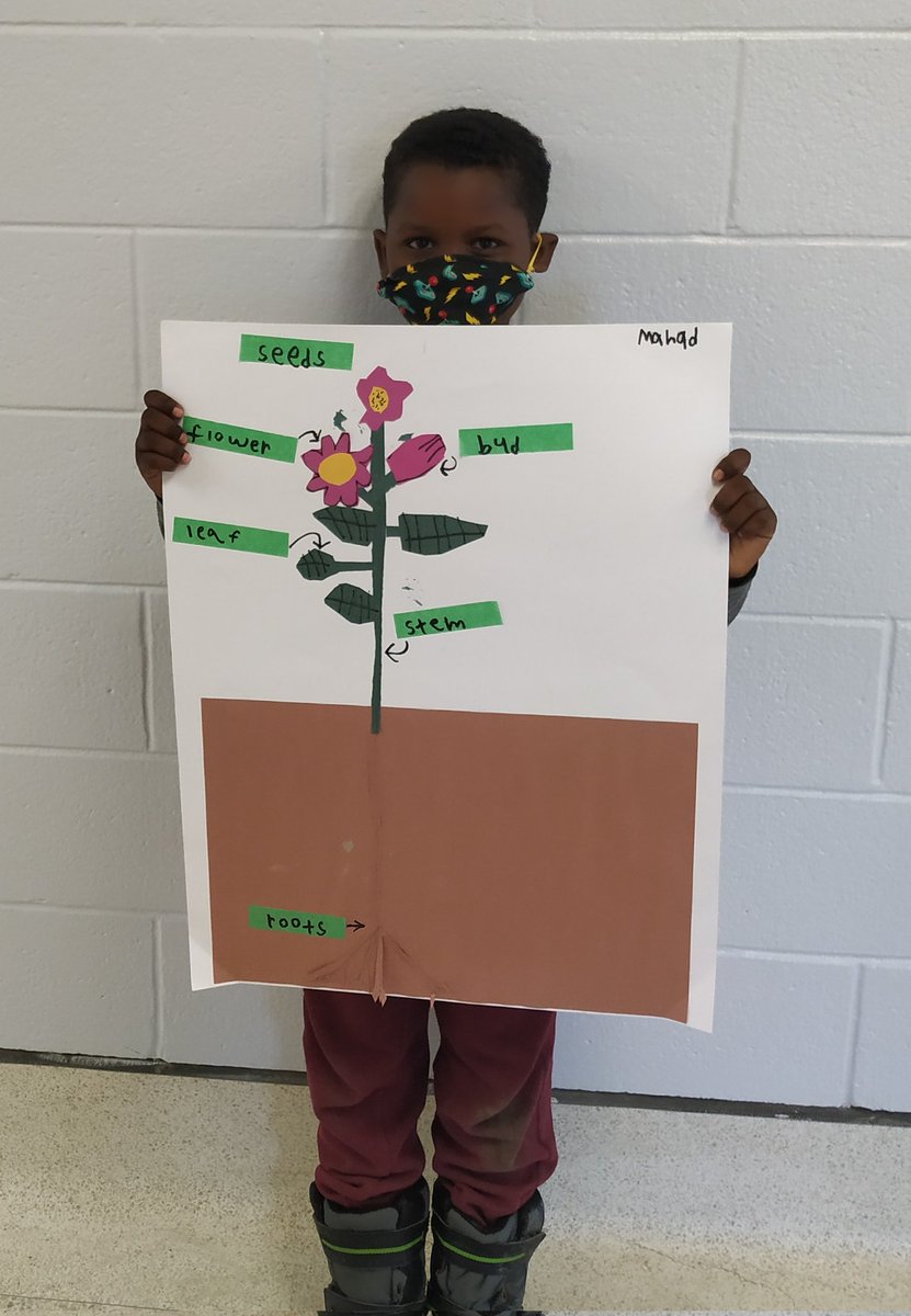 Learning academic vocabulary and how diagrams help us learn! 🌳🍁🌍 @CarletonHeights <a href="/OCDSB/">OCDSB</a>