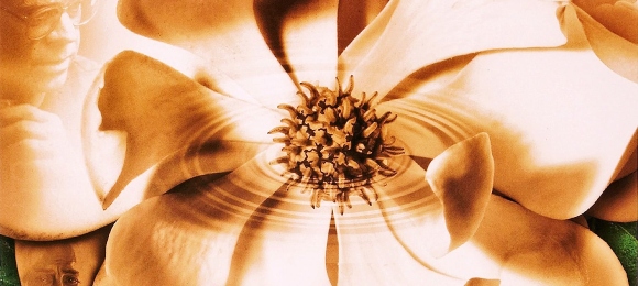 Rewatchability tweet media