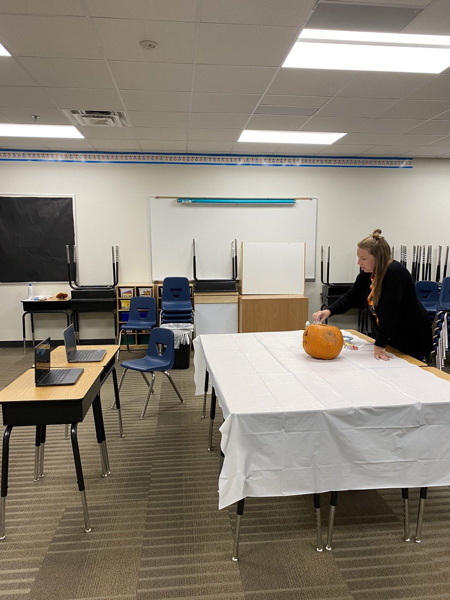 Susan Snel tweet media