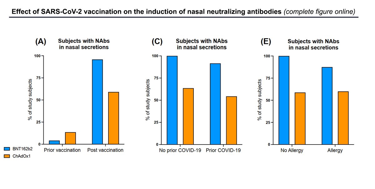 AllergyEaaci's tweet photo. Free Access: #COVID19 #vaccination with BNT162b2 and ChAdOx1 vaccines has the potential to induce nasal neutralizing antibodies. Corresponding authors: Gevaert, P.  @pgevaert and Vandekerckhove, L.

Read the article here👉  https://t.co/kEt8qQlyjc

https://t.co/b9CsnEx6pJ https://t.co/sCLUuZ72S6
