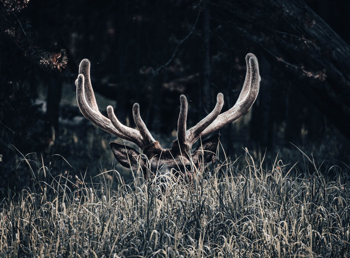 Hannah Miller 📸 tweet media
