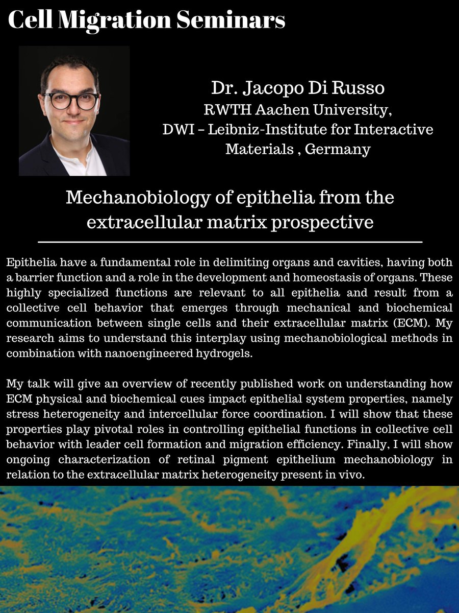 📢Join us next Tuesday, Oct. 12th (11am ET/4pm UK), for our next set of exciting talks. 

Presenting will be Amalia Hadjitheodorou @AHadjitheodorou & Jacopo Di Russo @Jacopo_Di_Russo 

Come hear about cellular decision making and epithelial mechanobiology!