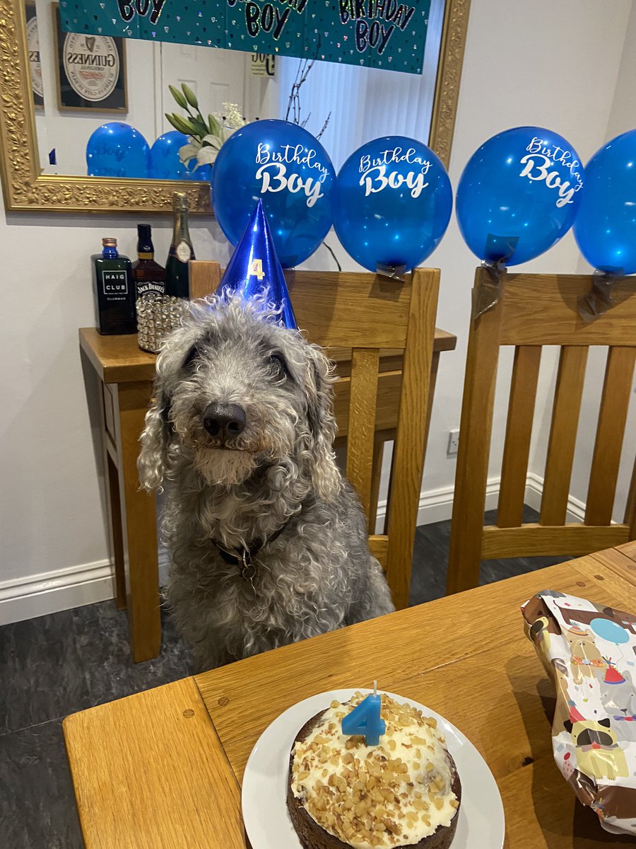 Happy 4th birthday my little boy , to you he’s a dog to me he’s my everything 💙🎉🐾