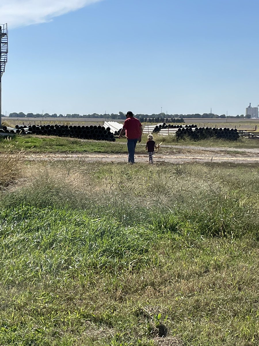 High Farm News tweet media