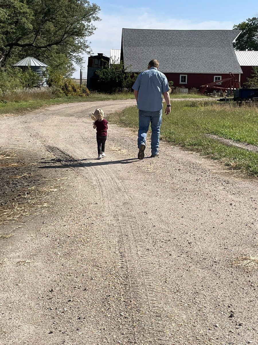 High Farm News tweet media