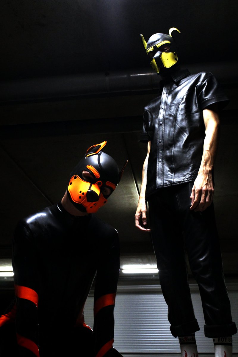 You sure you wanna park here? 10 headpats = 1 min of parking time 🐶

🐶 : <a href="/is_yzo/">x_yzo</a>
📸 : <a href="/Kraki_/">Krakï</a>