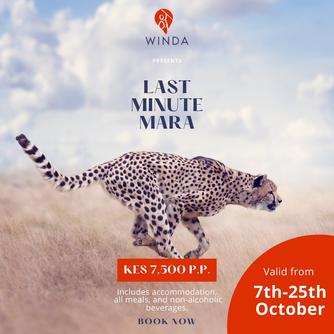 winda_guide's tweet image. And we’re off to the races! Our flagship experience is out in the great Maasai Mara. For only KES 7,500, you get to stay in a luxury lodge with a host of amazing activities to do. Book your trip here &amp;gt; bit.ly/3Dof3uB

#magicalkenya #tembeakenya #kenya #travel #MaasaiMara