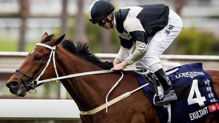 HORSERACING1002's tweet photo. EXULTANT (IRE) 2014 (EX-IRISH CORRESPONDENT)
(TEOFILO - CONTRARY BY MARK OF STEEM)
B/ Ballygallon Stud Limited (Ire) Mar 24, 2014 Gelding
O/ Eddie Wong
36-13-11-6------82,761,898 dls HK
2019 Champion Middle distance, Champion Stayer, 2020 Horse of the Year HK, #Exultant https://t.co/pmd69TUwmC