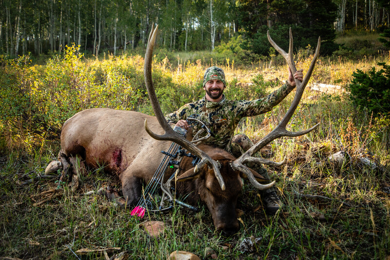 Archery elk anyone? 
#eastmans
<a href="/blckriflecoffee/">Black Rifle Coffee</a>