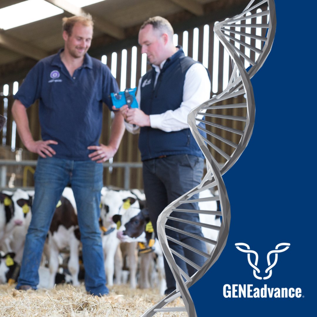 Genomic testing of your herd will reveal their true genetic potential and helps make more precise selection and breeding decisions, aligned to your goals to advance genetic progress.

Find out more about GENEadvance®: buff.ly/2YtQSM8

 #PredictPlanProgress