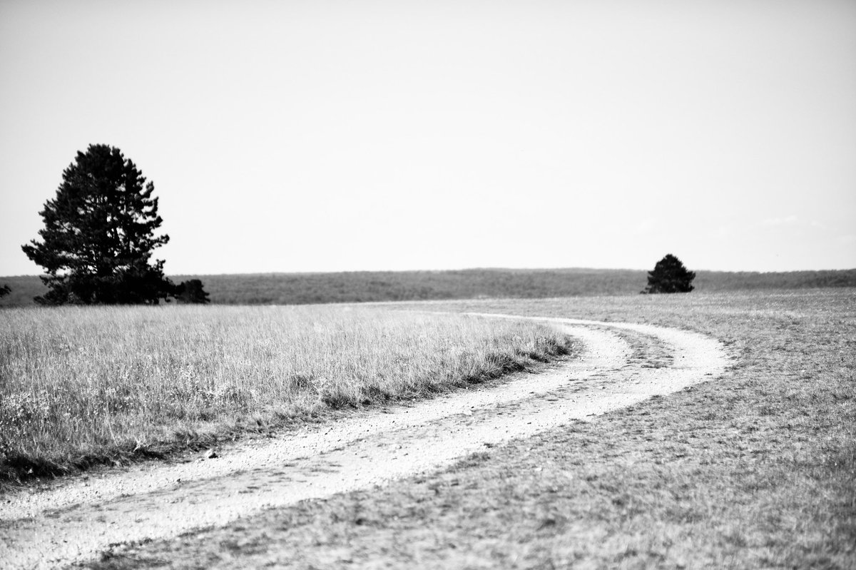 TwoTusk_fr's tweet photo. Going from a crazy environment to this has been an incredible blessing.  Loving all of what France has to offer. #photography #bnw #blackandwhitephotography #NaturePhotography #calm #fuji #fujifilm https://t.co/dNnLmXHce2