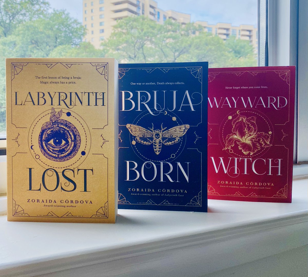 Kick off #ESPOOKYSeason with the Brooklyn Brujas Series by @zlikeinzorro 🎃👻 The #BrooklynBrujas Bundle is now available for $29.50
📕Labyrinth Lost
📗Bruja Born
📘Wayward Witch
Shop now at XOLOBOOKS.COM
#sale #latinxauthors #LGBTQIA #booksale #shopsmall