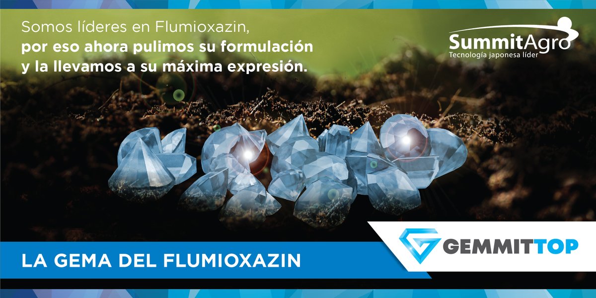 SummitAgroAr's tweet photo. 💎La gema del flumioxazin: Gemmit Top. 💎
💎 Una fórmula micronizada en partículas aún más pequeñas y de una homogeneidad superior. Para asegurarte combatir las malezas. Y garantizarte que, mejor opción, no existe. 💎
🖱https://t.co/ORhaeRyNo4
#GemmitTop #Flumioxazin https://t.co/BPkRicG9yr