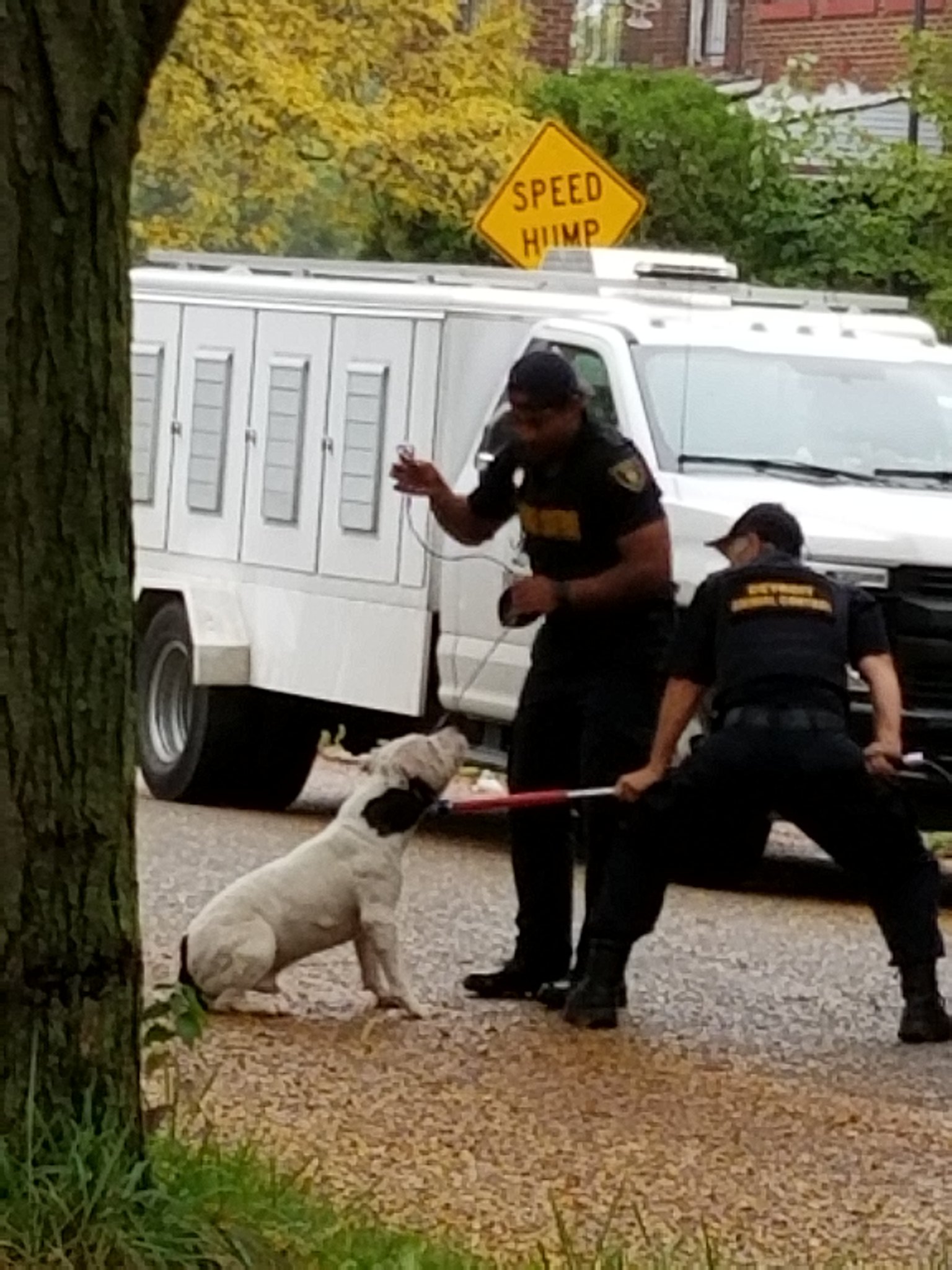 Detroit Police News on Twitter: Detroit Police News on Twitter: