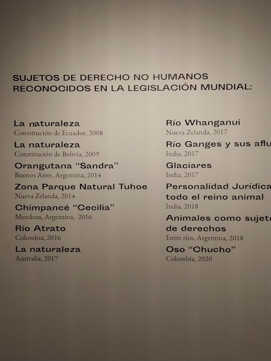 afrikaner's tweet photo. #m7red en la muestra Simbiología en el #CCK https://t.co/2tnx6rFjDb