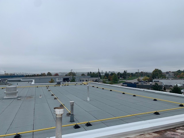 GroupNedlaw's tweet image. Completed recently!
A #NedlawRoofing Project.

21,000sq. ft. Soprema 2-Ply #ModBit system. 

Trusted. ⠀ ⠀
Respected. ⠀ ⠀
Since 1988 ⠀ ⠀
⠀ ⠀
#roof #roofs #roofing #roofer #flatroof #flatroofing #commercialroofing #contractor #contracting #NewCon #construction