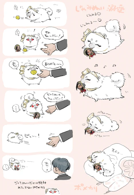 どんなおもちゃもくれるのにじゃみぬいだけは絶対に渡さないポメカリ 