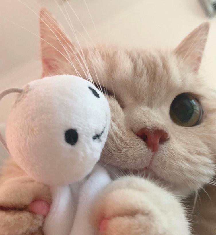 RMNNRTO's tweet photo. йош.... приветик всем!! меня давно тут не было.. не так ли..? скучали? Я ОЧЕНЬ СКУЧАЛ

как вы?

меня не было в эти дни так как я немного морально устал ☹️ не то, чтобы я выгорел к саппортству, а устал от всей этой заворушки с учебой ☹️☹️

не повторяйте за мной!! отдыхайте!! ♡ https://t.co/Ubj1MmMIN3