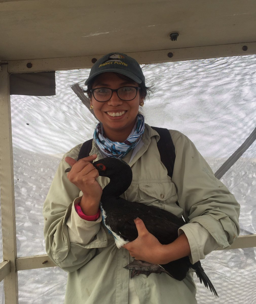 ProgramaPSJ's tweet photo. Today in the #3WSC 💚🙌
@LyannePierina will present the talk “Foraging behavior and diet of male and female #Guanaycormorant in #PuntaSanJuan, Peru” 
Join her in the Symposium 12 - Sensory Ecology II, today October 7 from 00:15 to 02:15 UTC 🎉🇵🇪 https://t.co/9YOfMzVzp6
