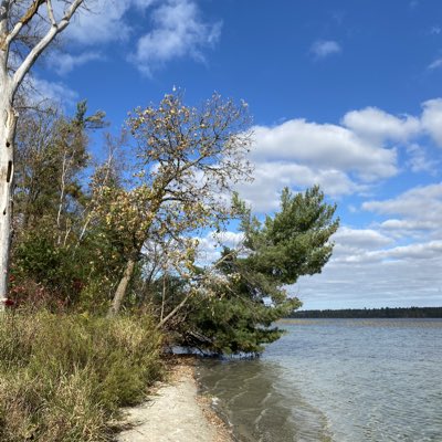 Ice❄️Blue❄️Scoop❄ tweet media