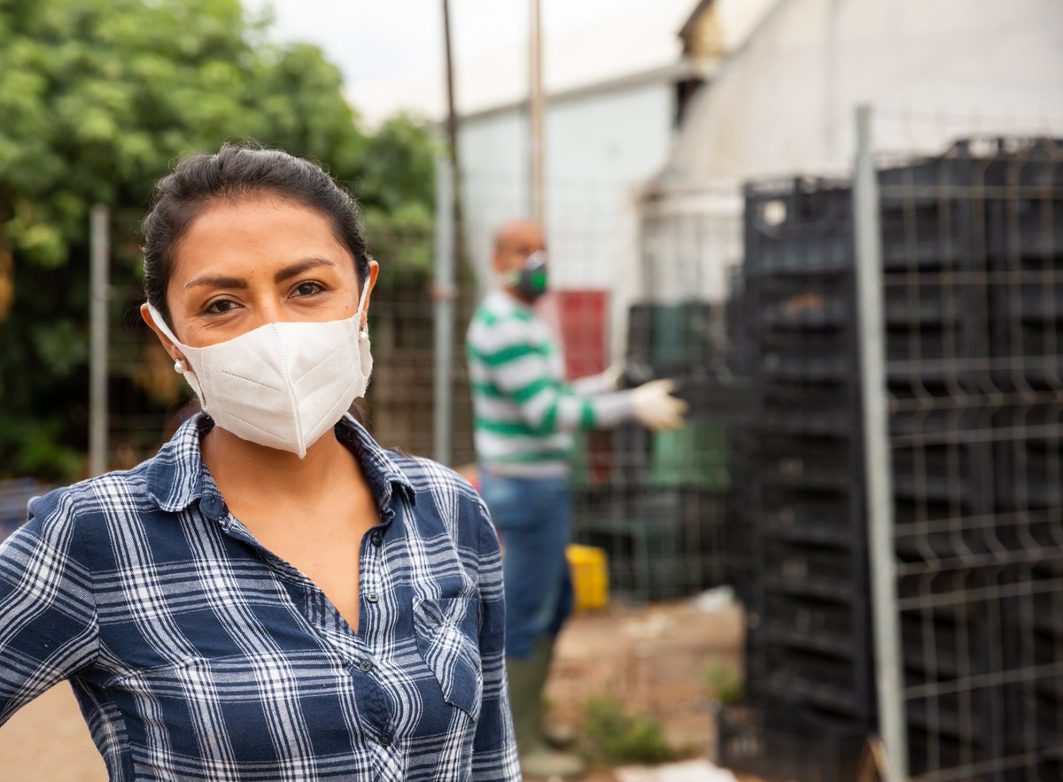 WindsorEssexLIP's tweet photo. DYK?
All Temporary Foreign Workers have the same access to health care as you or I under either public or private insurance.
Find out more: https://t.co/28Mr7rUwhe
#GrowingOurFood
#GrowingOurEconomy
#GrowingOurCommunity https://t.co/9fsWi3rtKN