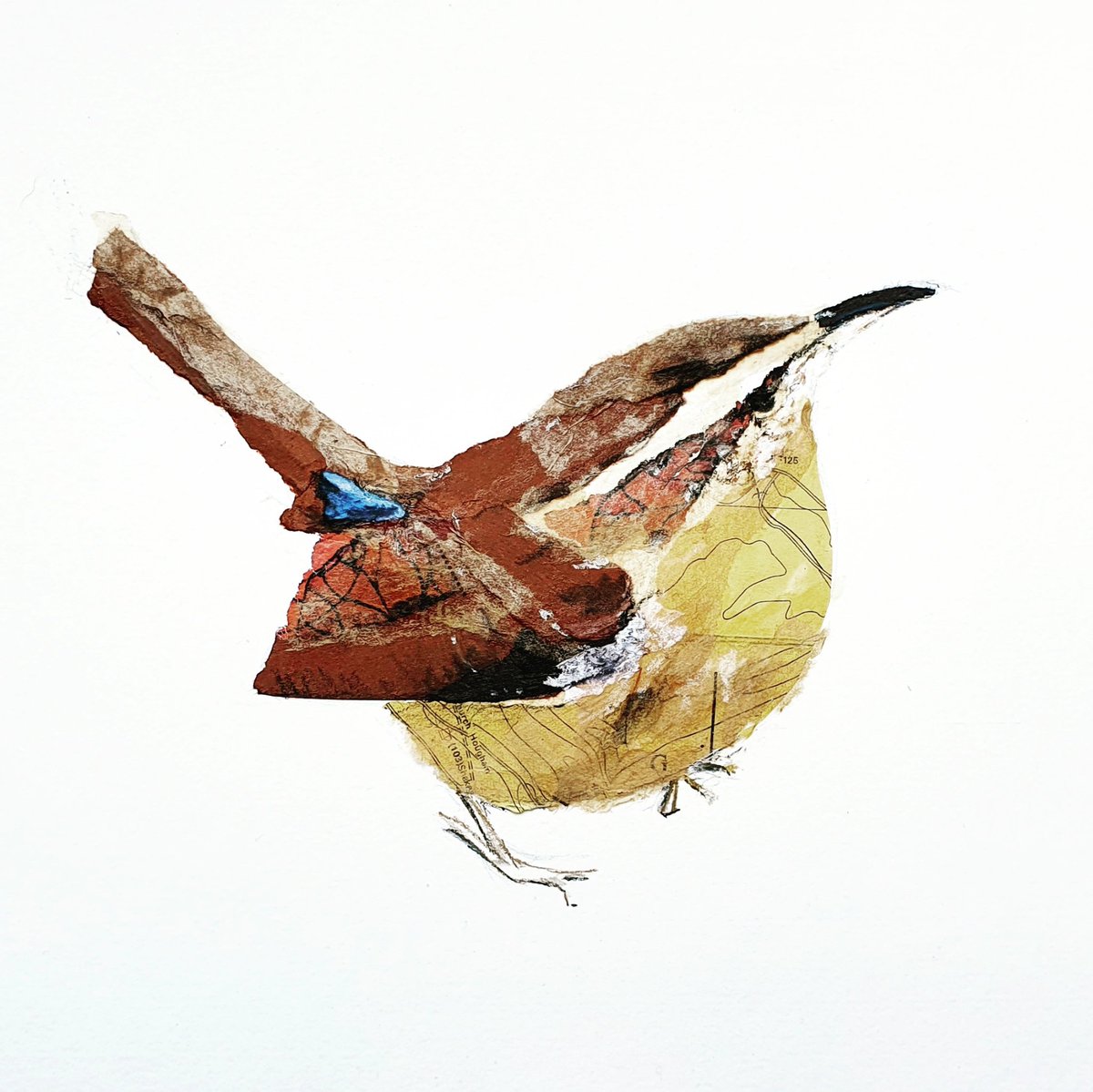 Wren 
Paper collage 
#birdwatching #TwitterNatureCommunity <a href="/Natures_Voice/">RSPB</a> 
#Birdsseenin2021