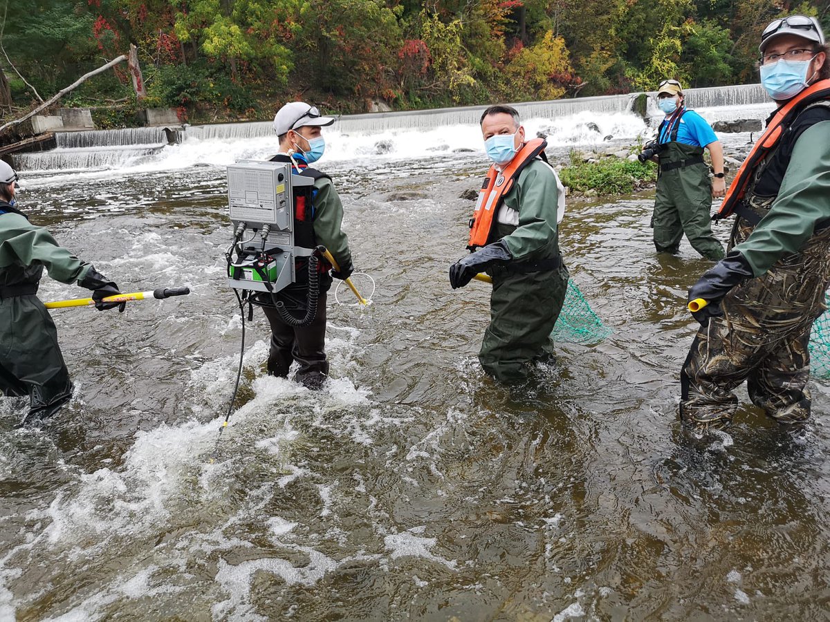 GregRickford's tweet photo. Appreciate the opportunity to participate in the Chinook Salmon egg collection in Mississauga &amp; tour the new high tech automated fish counter system. 

With this technology, @ONresources biologists are able to better manage this diverse fishery. https://t.co/umk7RS4pWO