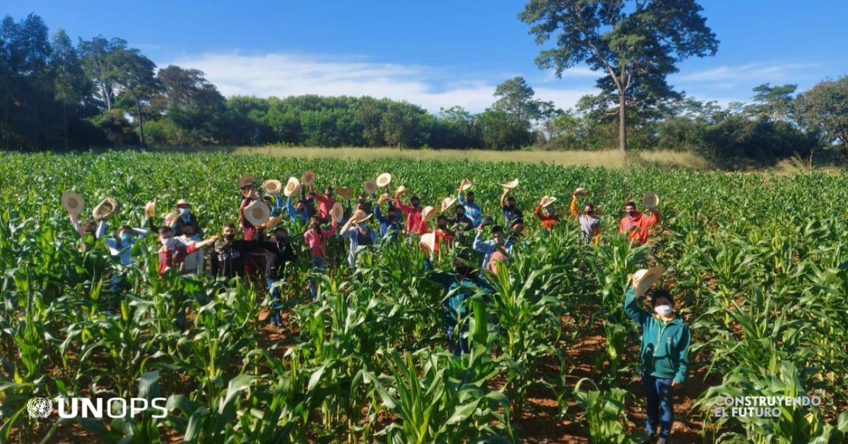 UNOPS_es's tweet photo. En #Paraguay, trabajamos en la promoción de espacios de capacitación de #MIPYMES como parte del Desarrollo Integral de la Agricultura Familiar Paraguaya #DIAFPA, en apoyo a @magparaguay e @itaipuparaguay: https://t.co/oYVNmiSRrD https://t.co/C71vdNXF3v