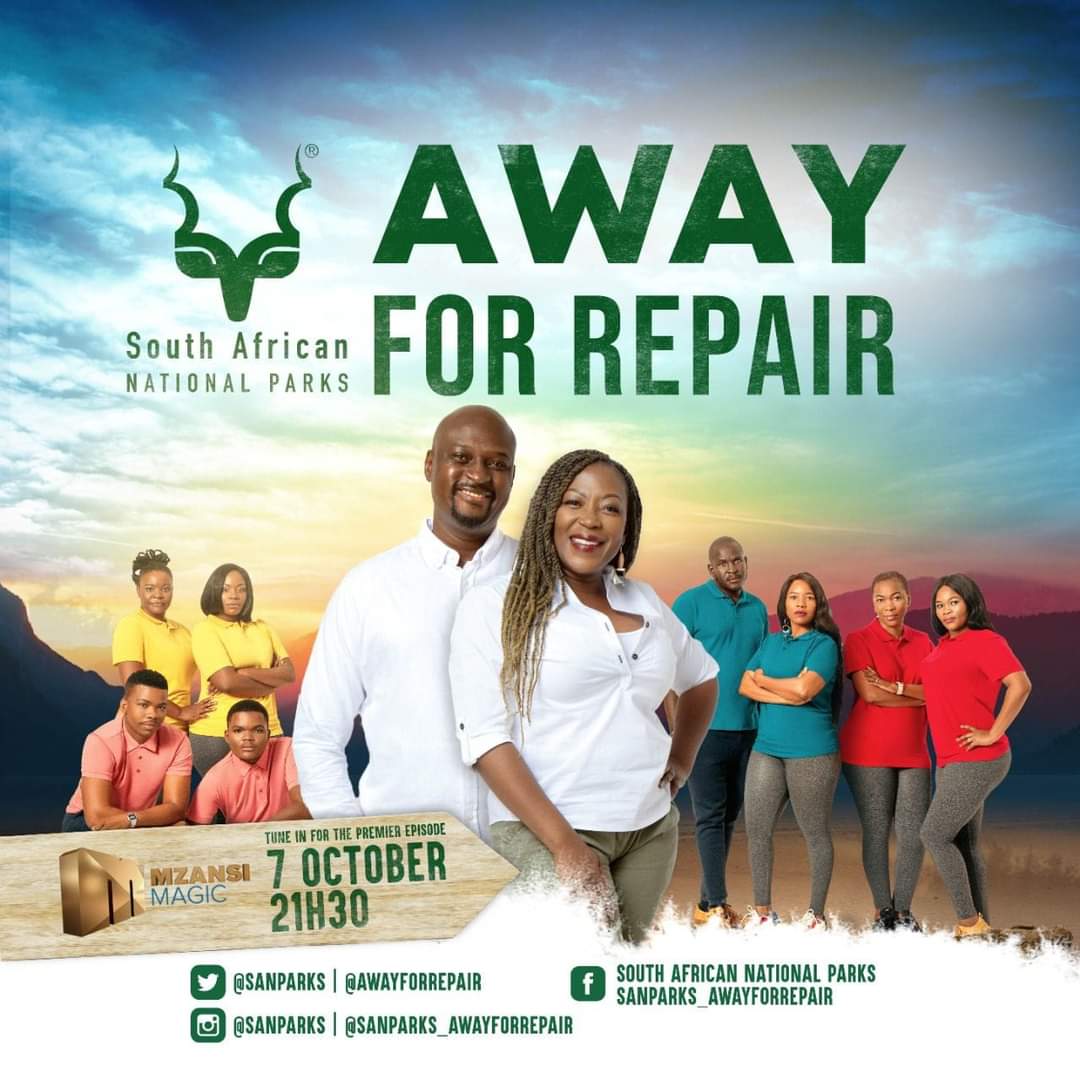 🚨New show alert🚨

<a href="/awayforrepair/">SANParks_AwayforRepair</a> Tune in tonight 7 October at  21h30 for the debut on Mzansi Magic, DSTV Channel 161 to see how the first episode unfolds. Away for Repair repeats on Saturdays at 10h30.

#AwayForRepair
#GoLimpopo
#CloserThanYouThink