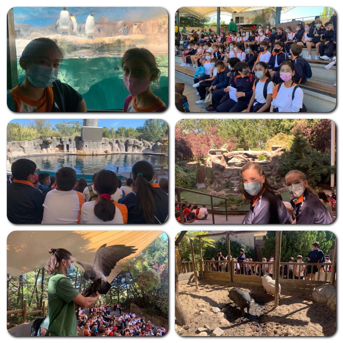 Nazaret Oporto tweet media