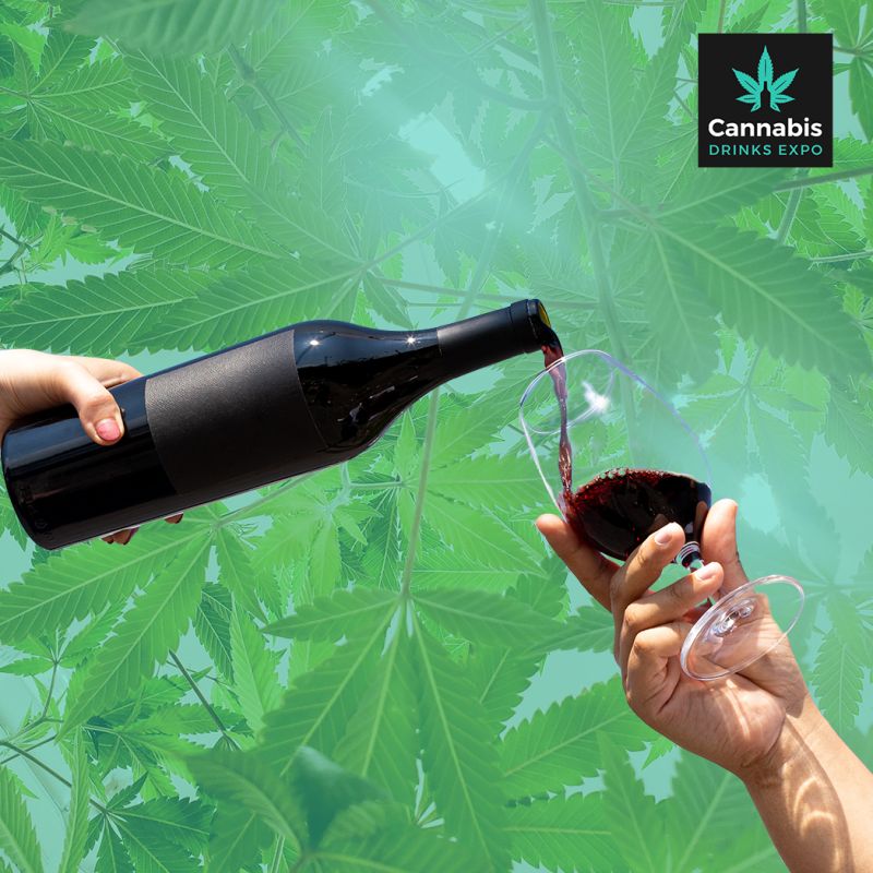 ChristineBhatt's tweet photo. Be part of the most happening expo in Chicago.. Drinks Expo...! Nah not just drinks!! Its Cannabis Drinks Expo.. #Chicago #Chicagodrinks #Cannabisdrinkexpo #THCdrink #CBDdrink #hempdrink @DrinksCannabis B2B expo #cannabisinvestors #cannabisdistributors 😍😍😍😍 https://t.co/9f0v3vAFO9