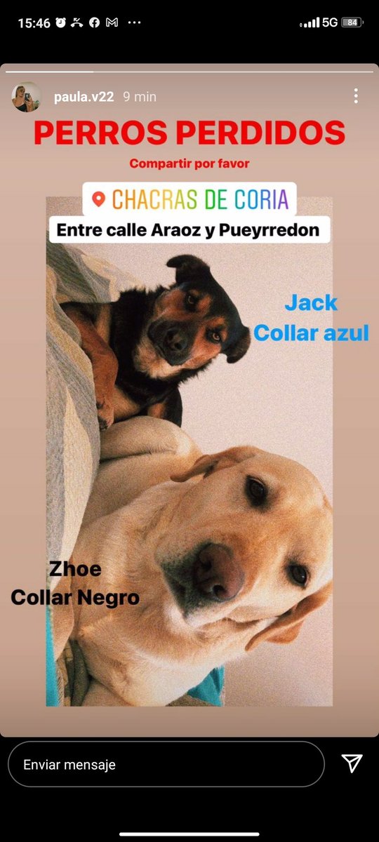 Porfa compartan !!!! Perritos perdidos en chacras!!! Necesitamos que aparezcan ! 

Compartan porfa !!!!