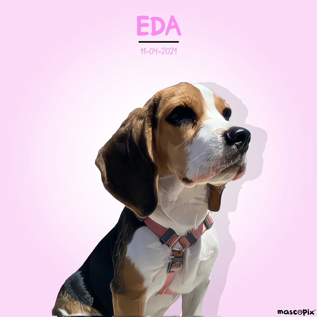 mascopix's tweet photo. Desde Cádiz...EDA, el Beagle Tricolor.

Te gustaría tener el Retrato de tu Mascota?...en @mascopix te lo enviamos a casa gratis...¡envianos un mensaje!

#mascopix #amormascotas #retratomascota #cuadromascotas #perros #mascotas #dogsinstagram #beagle https://t.co/3B4UoylJJR
