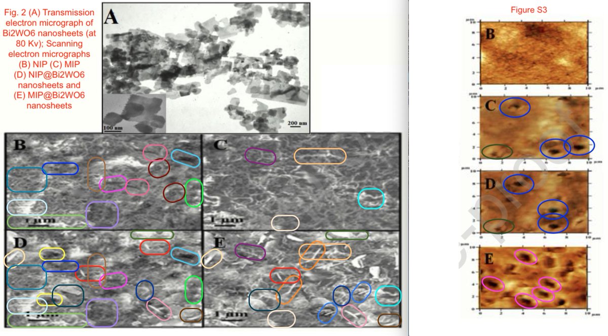 MicrobiomDigest's tweet photo. Moving on to this pearl. Reported to the editors in March 2020. @ScienceDirect wants you (or your library) to pay $42 for this piece of art.
#ThisImageIsFine
https://t.co/KYqyeumPXT https://t.co/RfaVGShsTm