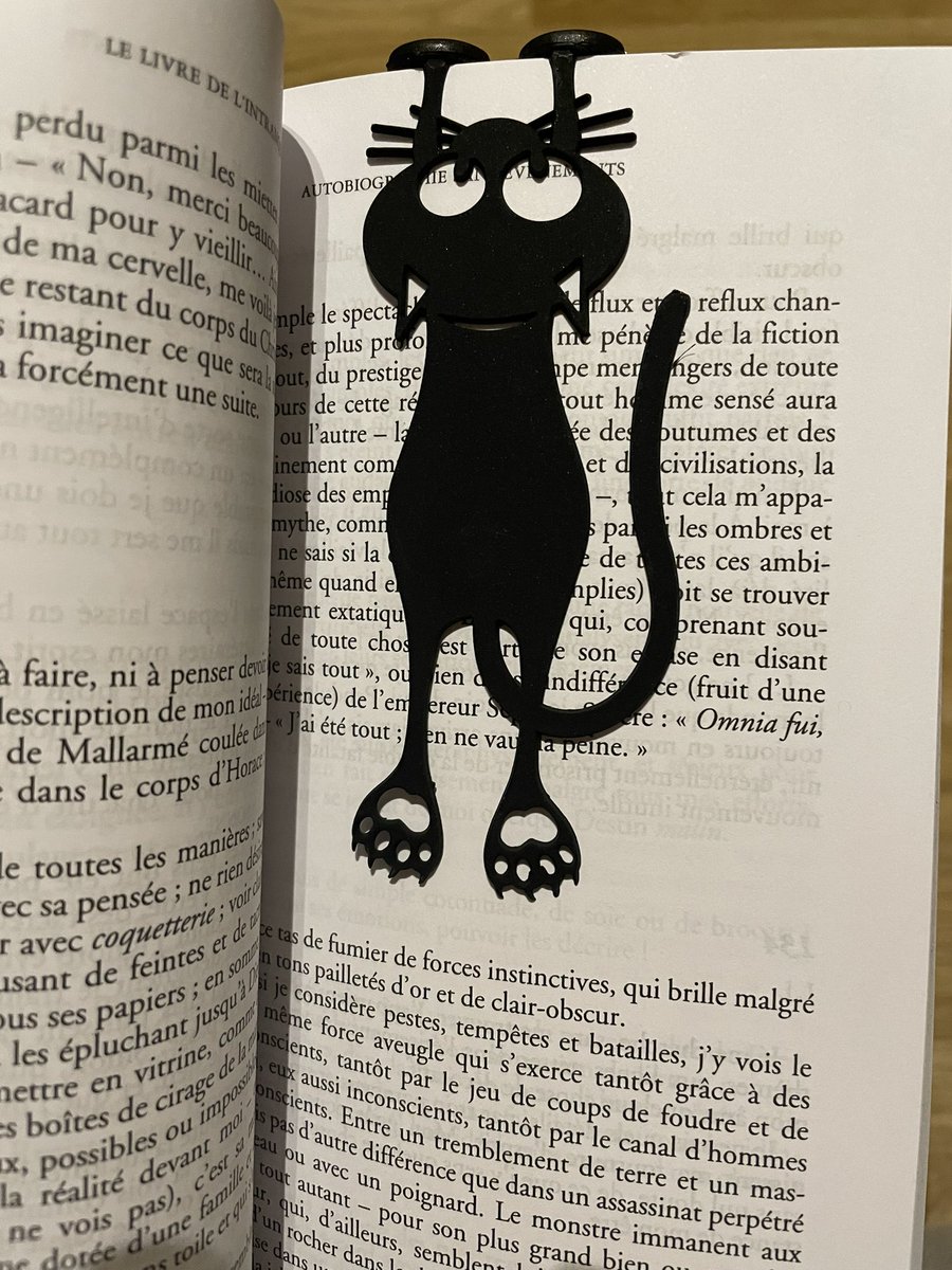 Best marque-page ever ! #CatsOfTwitter