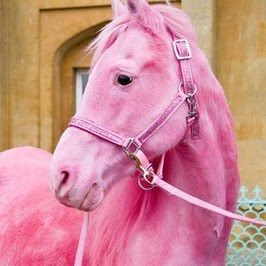 Розовый конь песни. Пинк Хорс. Розовая лошадь. Лошадка розовый. Розовая грива.