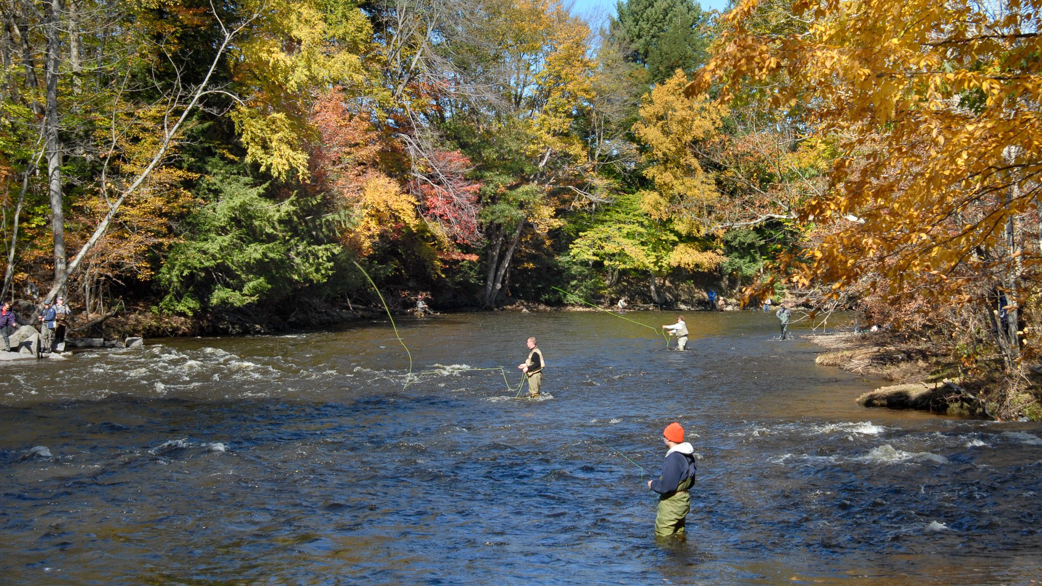 New York State Dept. of Environmental Conservation on Twitter "As a