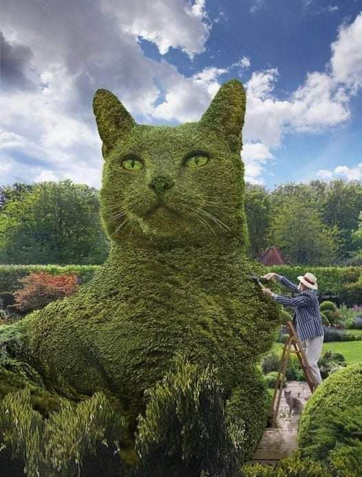 Homervillehound's tweet photo. Truly a masterpiece and a king of the jungle xoxo 💖😊🐱

#Homervillehound #lovelife #Zen #peaceful #Hollywood #OlgaRoderick #OneWithSpirit #Ohio #BeHealthy #cannabis #medicalmarijuana #marijuana #health #hemp #justsaying #felineArt #cats_of_instagram #FelineHumor #thursdayvibes https://t.co/DsY7xrTyG3