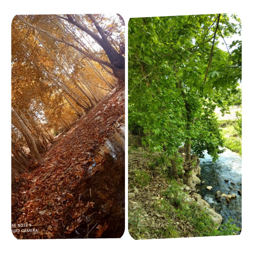 ☘☘بهار &amp;&amp; پاییز🍁🍁