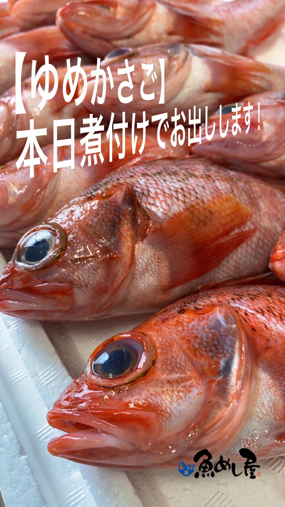 魚めし屋 Uomeshiya Twitter